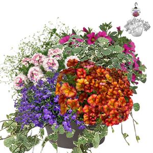 Afbeelding van HP30 XXL Mix 13